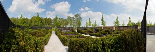 Besondere Gartenarchitektur und innovative Ideen zeigen die drei