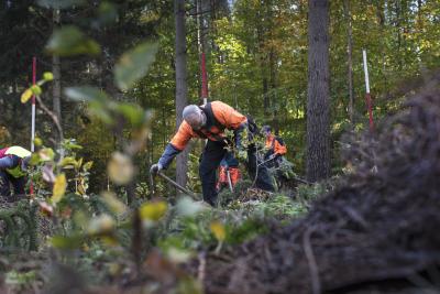 Internationaler Tag der Wälder