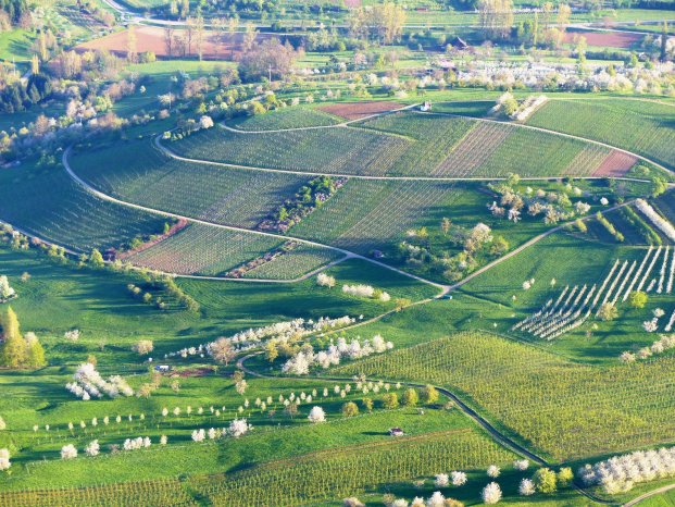 Eggenertal © Sabine Lang.jpg