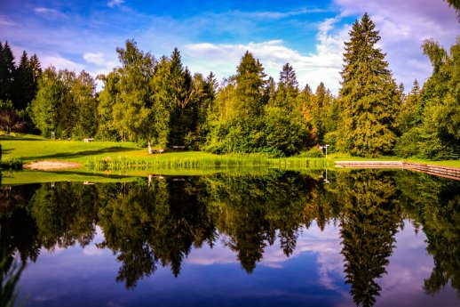 Moorweiher.jpg