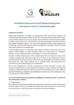 DSM and ProWildlife ICCAT-Statement.pdf