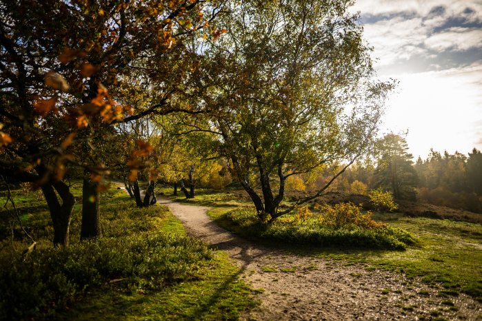 Naturpark Aukrug(c)sh-tourismus.de_MOCANOX.jpg