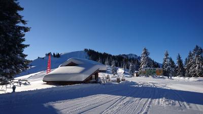 Skijuwel Alpbachtal Wildschönau