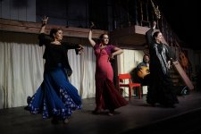 Noche Flamenca: Harald Heinrich