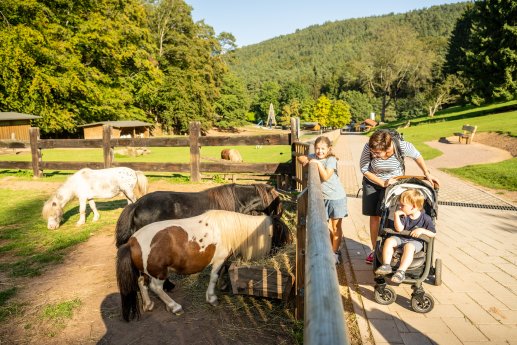 Trifelsland-2023-189-Wild-und Wanderpark Silz.jpg
