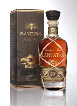 Plantation 20 ans technique RVB(1).jpg