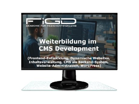 FiGD Akademie_CMS_2024_800-600.png