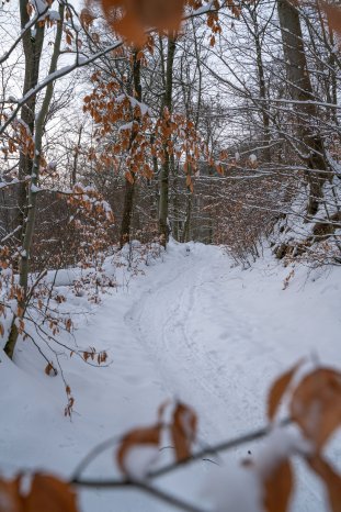 bad_harzburg(c)Wanderungen KW50_2023.jpg