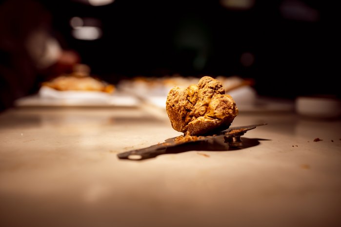 Tartufo bianco d’Alba © Visit Piemonte, ph. Saverio Pisano-IFSE (4).JPG
