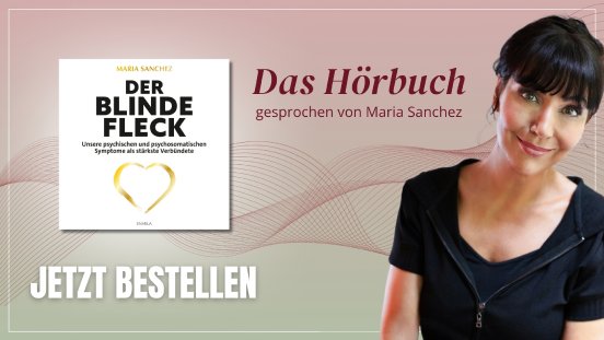 Hörbuch Der blinde Fleck Banner.jpg