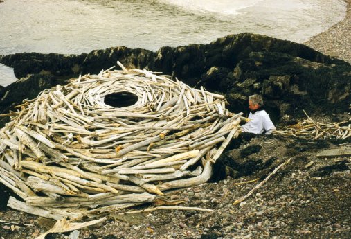 Rivers-and-Tides_1_AndyGoldsworthy.jpg