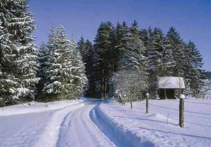 Winter