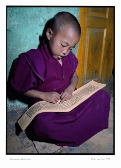 Junger Mönch aus dem Kloster Tabo. Foto Peter van Ham.jpg