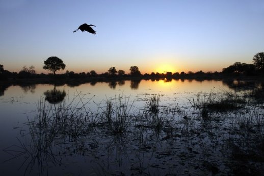 Okavango_Delta.jpg