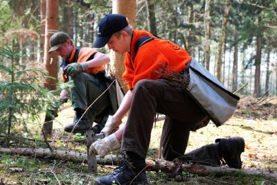 Internationaler Tag der Wälder
