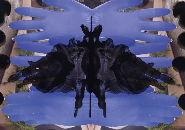 PM_2025_10_20_RE-think Rorschach.png