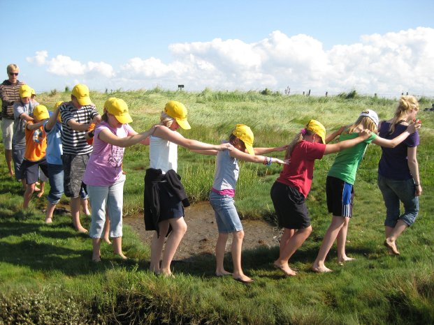 NationalparkFerienSalzwiesenraupe.jpg