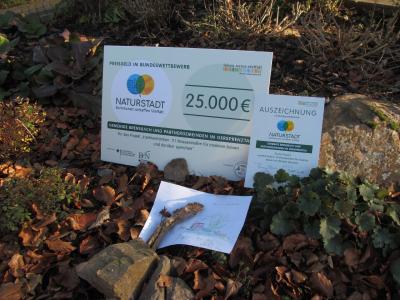 Bundeswettbewerb Gewinn