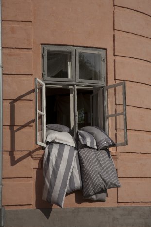 Bega Stripe Helsinki Window.jpg