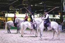 Reitsportmesse Niederrhein