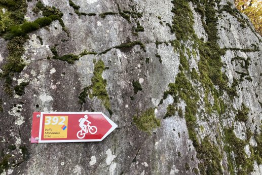 Morobbia Bike-Bellinzonese e Alto Ticino .jpg