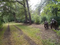 Kunst und Natur pur rund um Birkenried