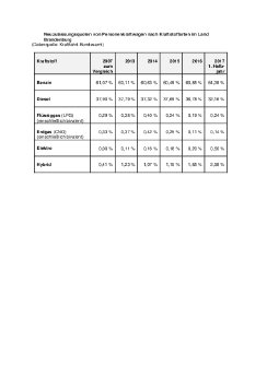 Microsoft Word-Dokument (neu).pdf
