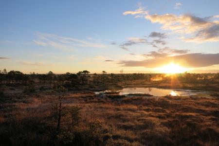2018 04 06 Moor in Estland_c_Jan Peters.JPG