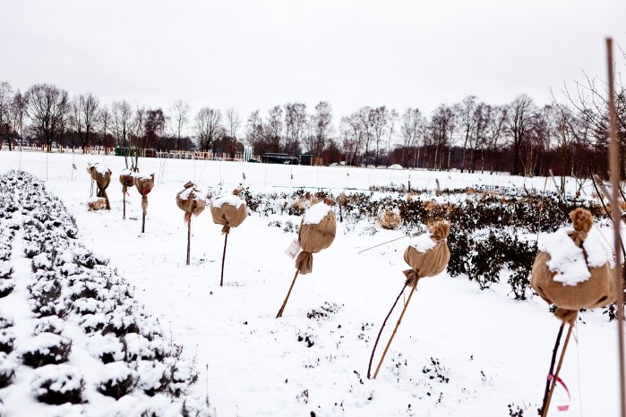 LGS_PM_Gartenschau-Gelände überwintert.jpg