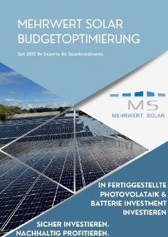 MS Budgetoptimierung Broschüre 2026.pdf