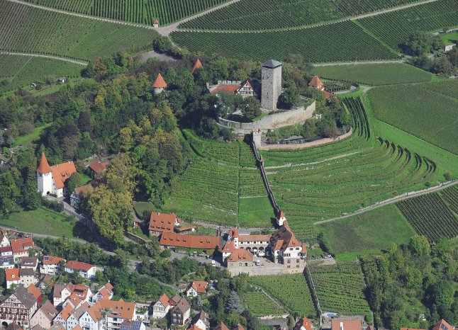 Von hier kommen die authentischen Weine, vom Bioweingut Schlossgut Hohenbeilstein..jpg