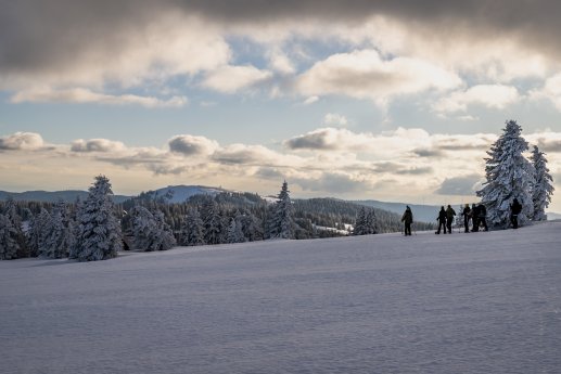 Feldberg_Schneeschuhtour © Klaus Hansen_Schwarzwald Tourismus.jpg