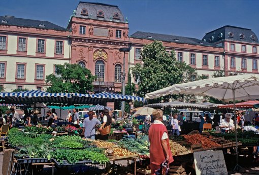 Markttag am Darmstädter Schloss.jpg
