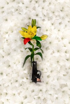 Die gelbe Lilie©Vincent_Stefan.jpg