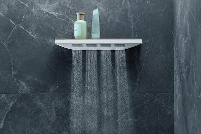 "Die Rainfinity Brausenfamilie kombiniert exzellente Verarbeitung mit stimmigen Proportionen und gekonntem Materialmix. Durch die Schwarz-Weiß-Kontraste bietet hansgrohe zum charakteristischen Chrom-Look herkömmlicher Armaturen eine herausragende Alternative", so das Statement der Jury zu Rainfinity / Copyright: hansgrohe / Hansgrohe SE