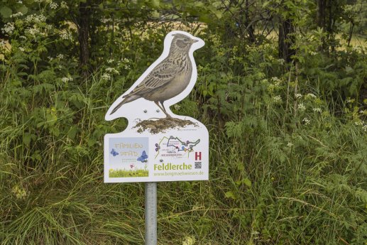 230702 Ero╠êffnung Bergma╠êhwiesen Familienpfad _10A0739 A6_Lutz Habekost.jpg