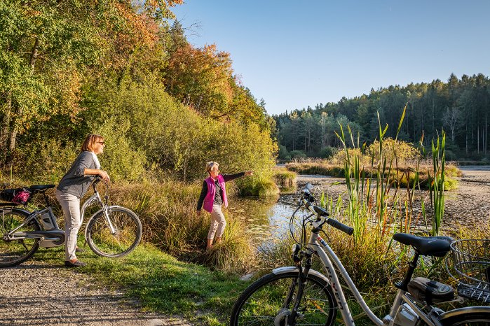 Konstanz-Ausflug-Radtour-Dingelsdorfer-Ried-See-Wald-01_Herbst_Copyright_MTK-Dagmar-Schwell.jpg