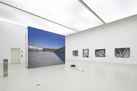 Uriel Orlow: Grey, Green, Gold, 2015–2017 / The Memory of Trees, 2016, Photo: Norbert Miguletz, VG Bild-Kunst, Bonn 2019