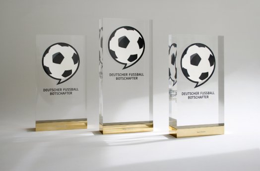 ©Deutscher Fußball Botschafter_Awards.jpg