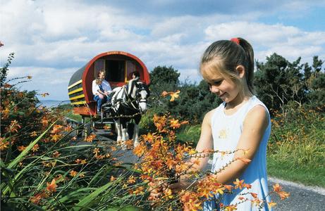 Picking flowers