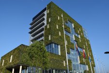 „Grüne Lungen“ und natürliche Klimaanlage zugleich: die Begrünung von Dächern und Fassaden. Foto: Bundesverband GebäudeGrün e. V.