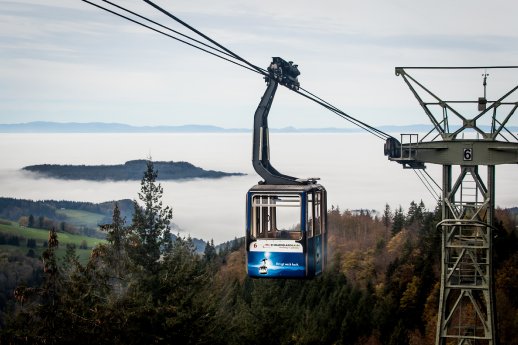 Inversion CopyrightAnjaThölking.jpg