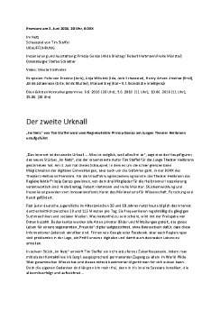 IM NETZ PM.pdf