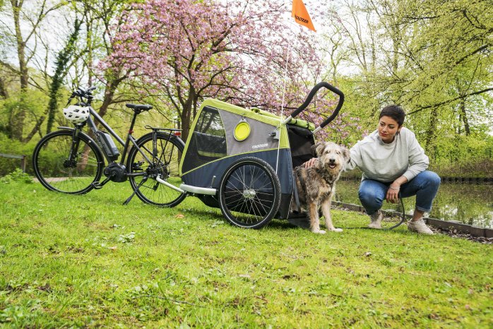 Hundeanhänger fürs Fahrrad: Der Croozer Dog für große Hunde