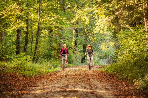 Konstanz_Radfahren-Wald-2_Bildnachweis_MTK-Dagmar-Schwelle.jpg