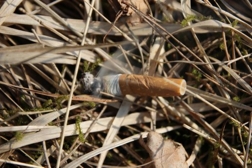 Zigarettenkippe im trockenen Gras.JPG