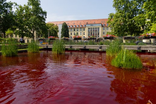 UKF-Bild3.jpg
