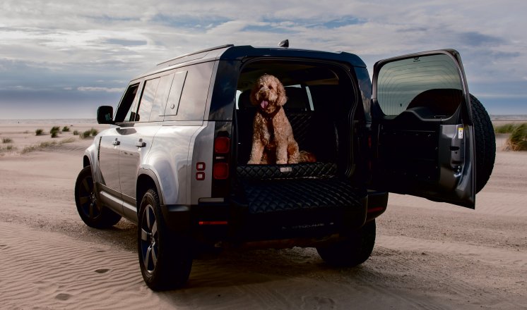 DS Kofferraumbett Premium schwarz_Druck.jpg