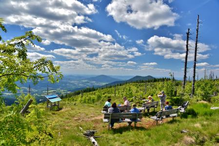 Naturkino im Zwercheck: In 1.333 Metern Höhe erwarten Wanderer 20 Logenplätze. Auf der „Leinwand“ sind die Bayerwald-Tausender Arber, Hoher Bogen und Osser sowie der gesamte Lamer Winkel zu sehen. Foto: obx-news/Tourismusverband Ostbayern/Jilek Ludwig