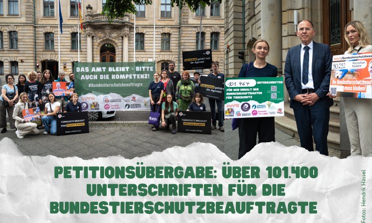 Petitionsübergabe für die Bundestierschutzbeauftragte.png